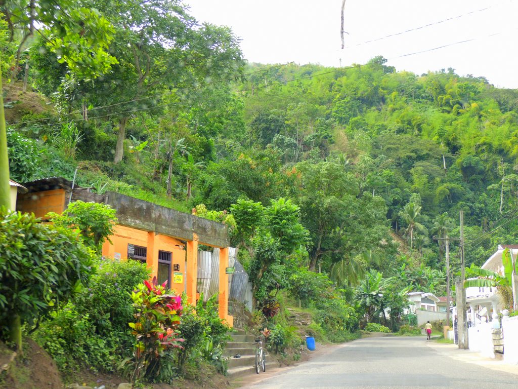 Jamaica road