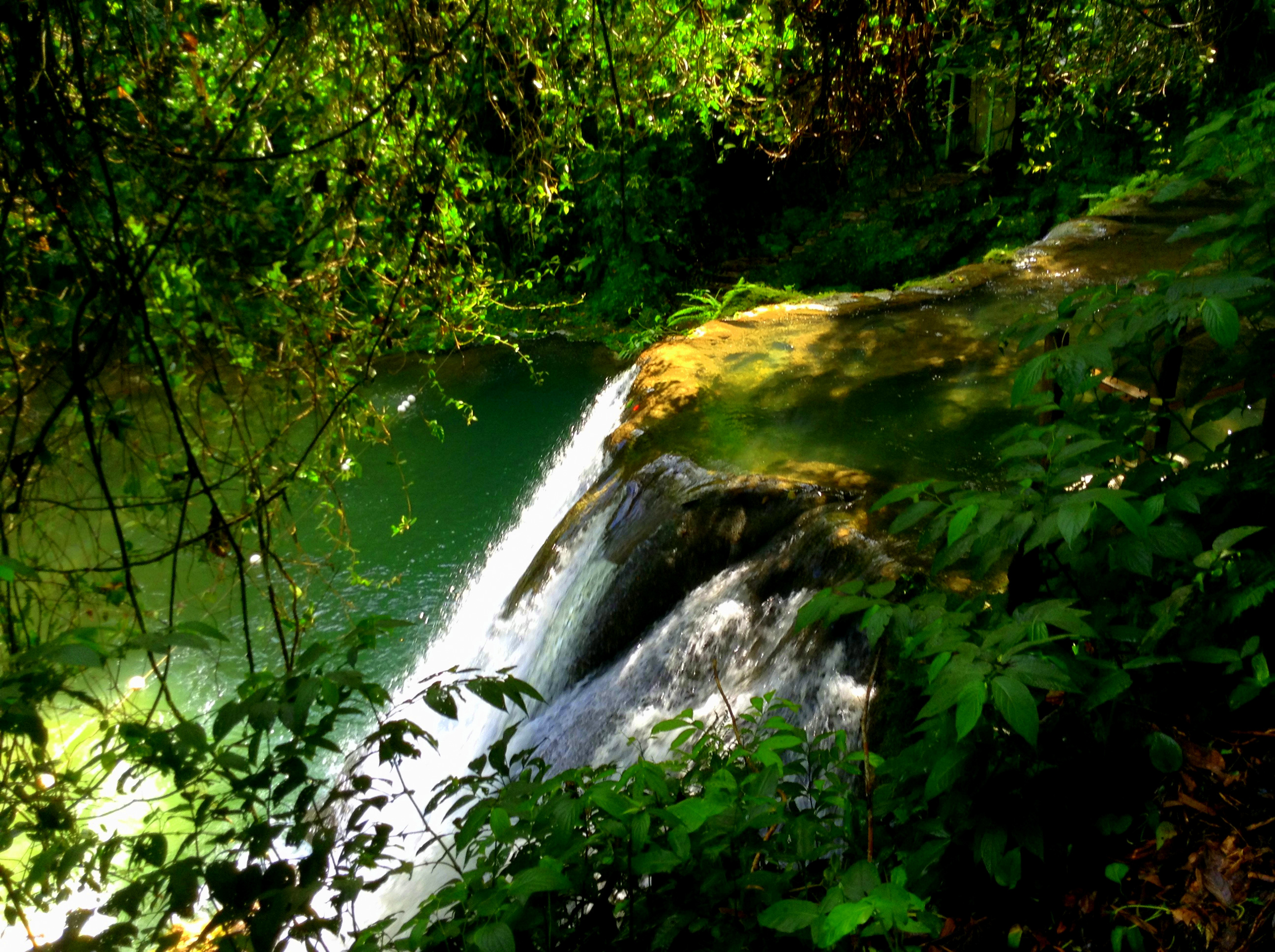 Jamaican Reach falls