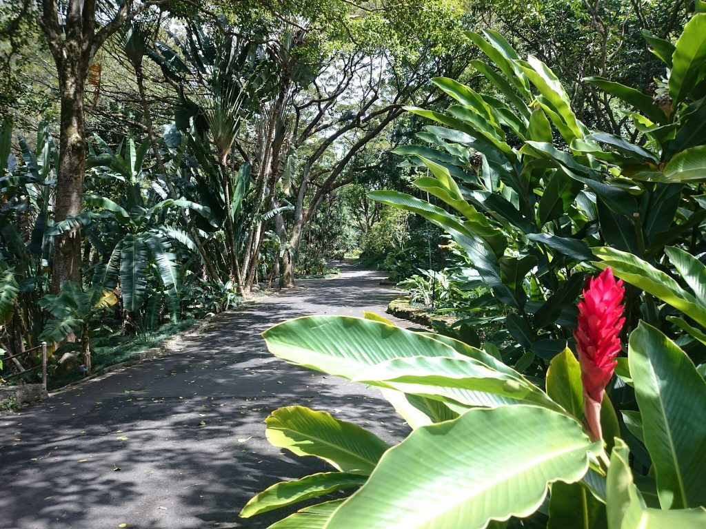 Oahu, Hawaii