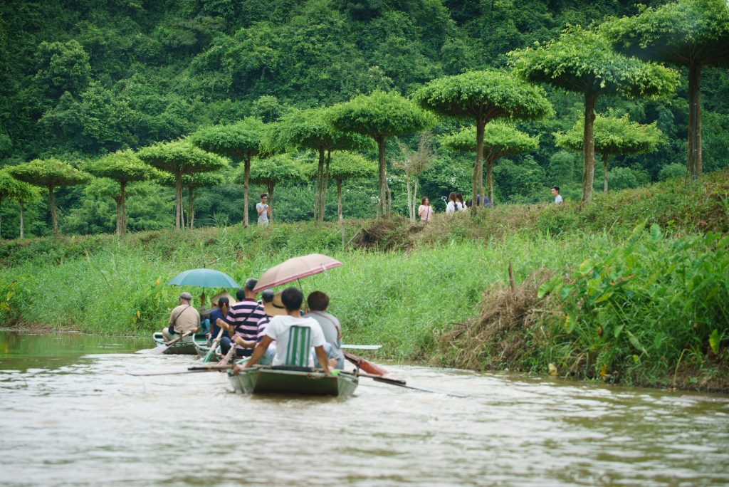 Boat tour in Tam Coc