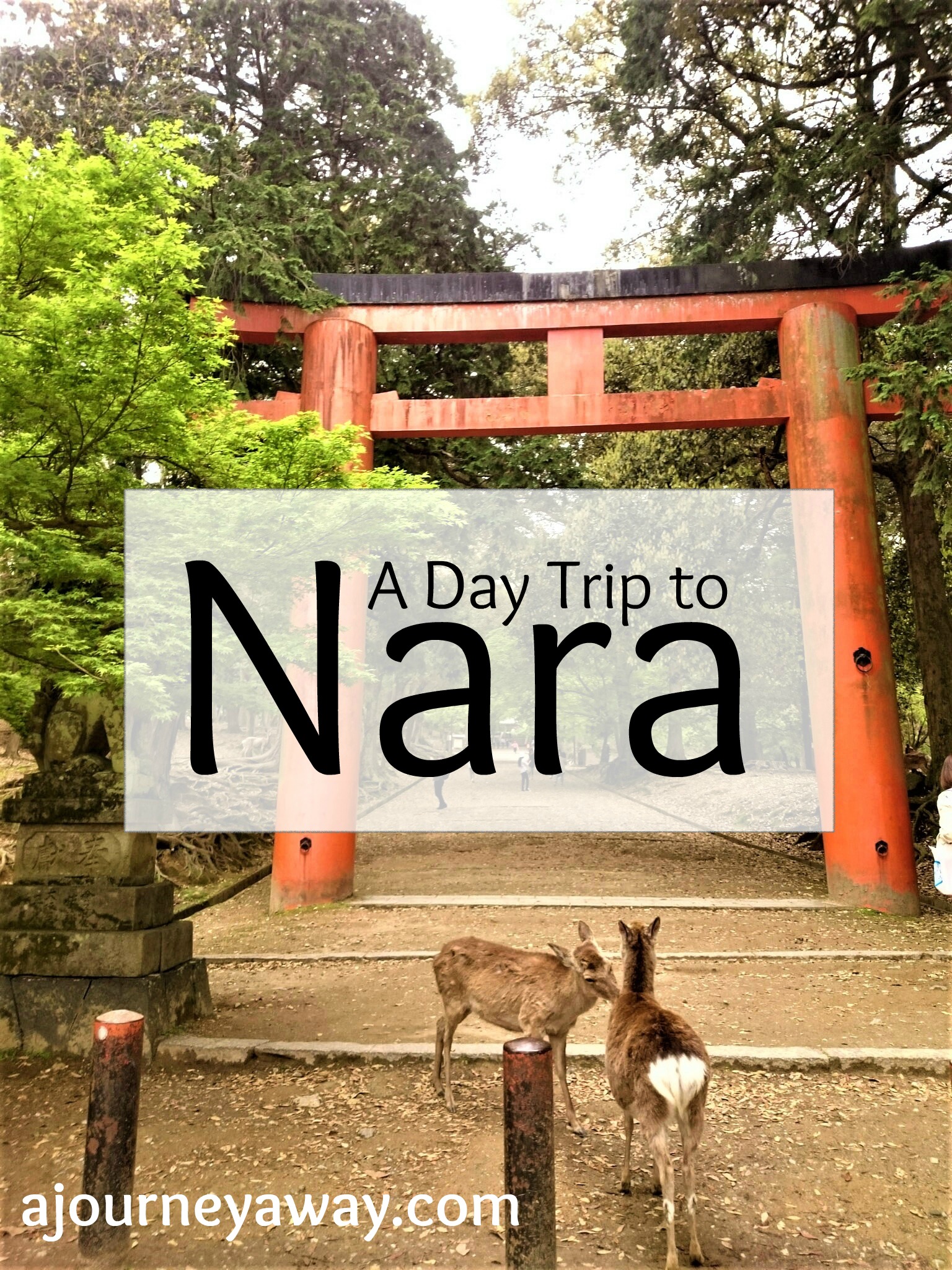 A day trip to Nara, Japan