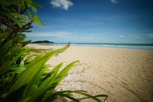 Klong Dao beach, Koh Lanta
