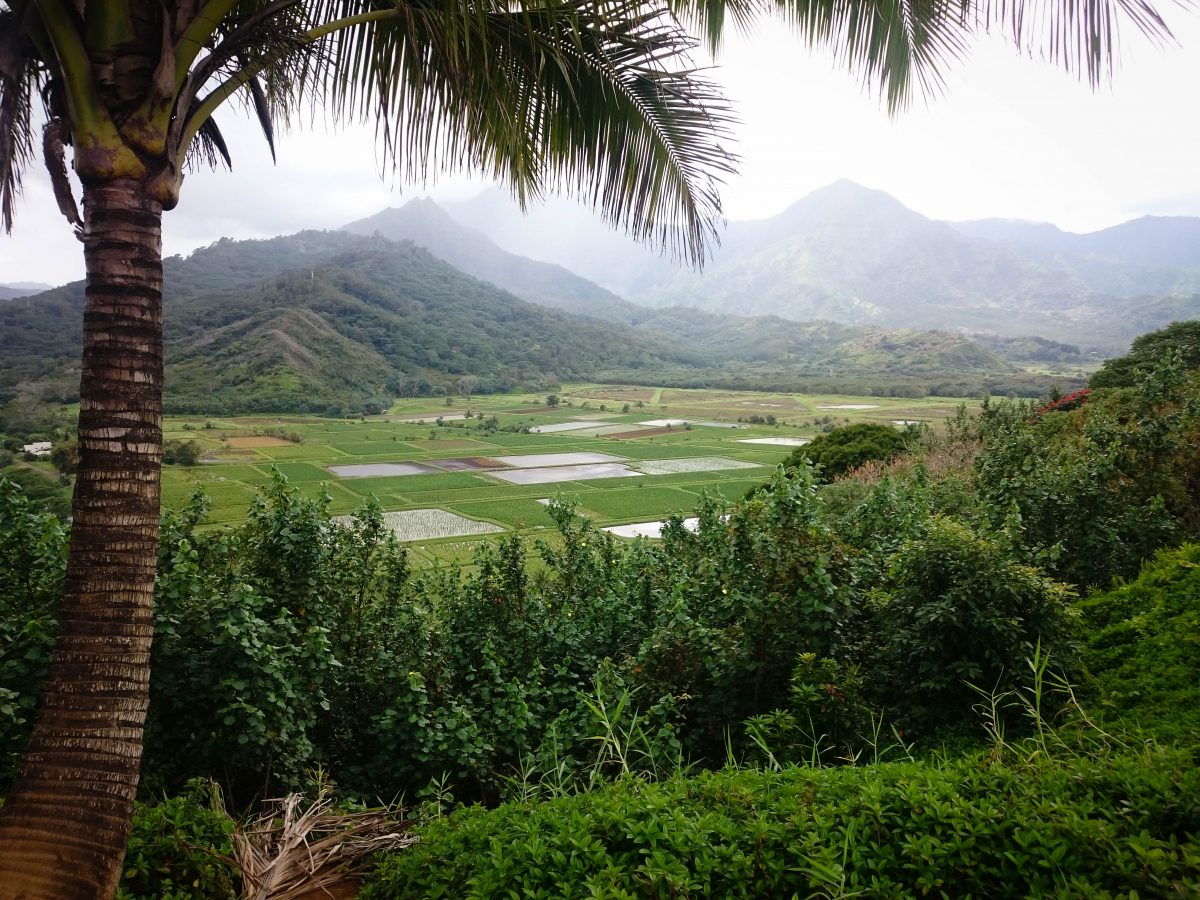 Hanalei lookout in Kauai, Hawaii