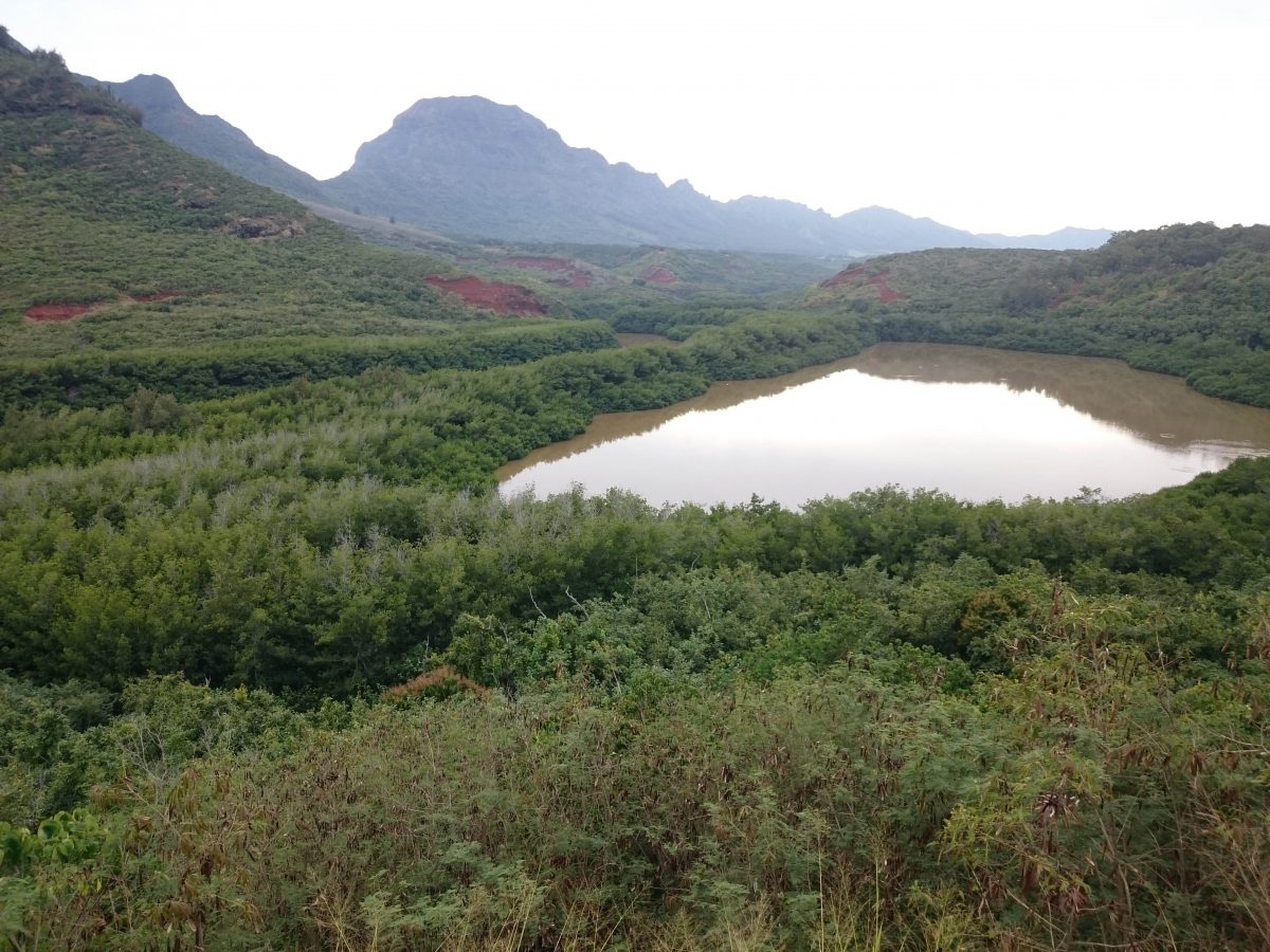 Menehune fishpond in Kauai, Hawaii