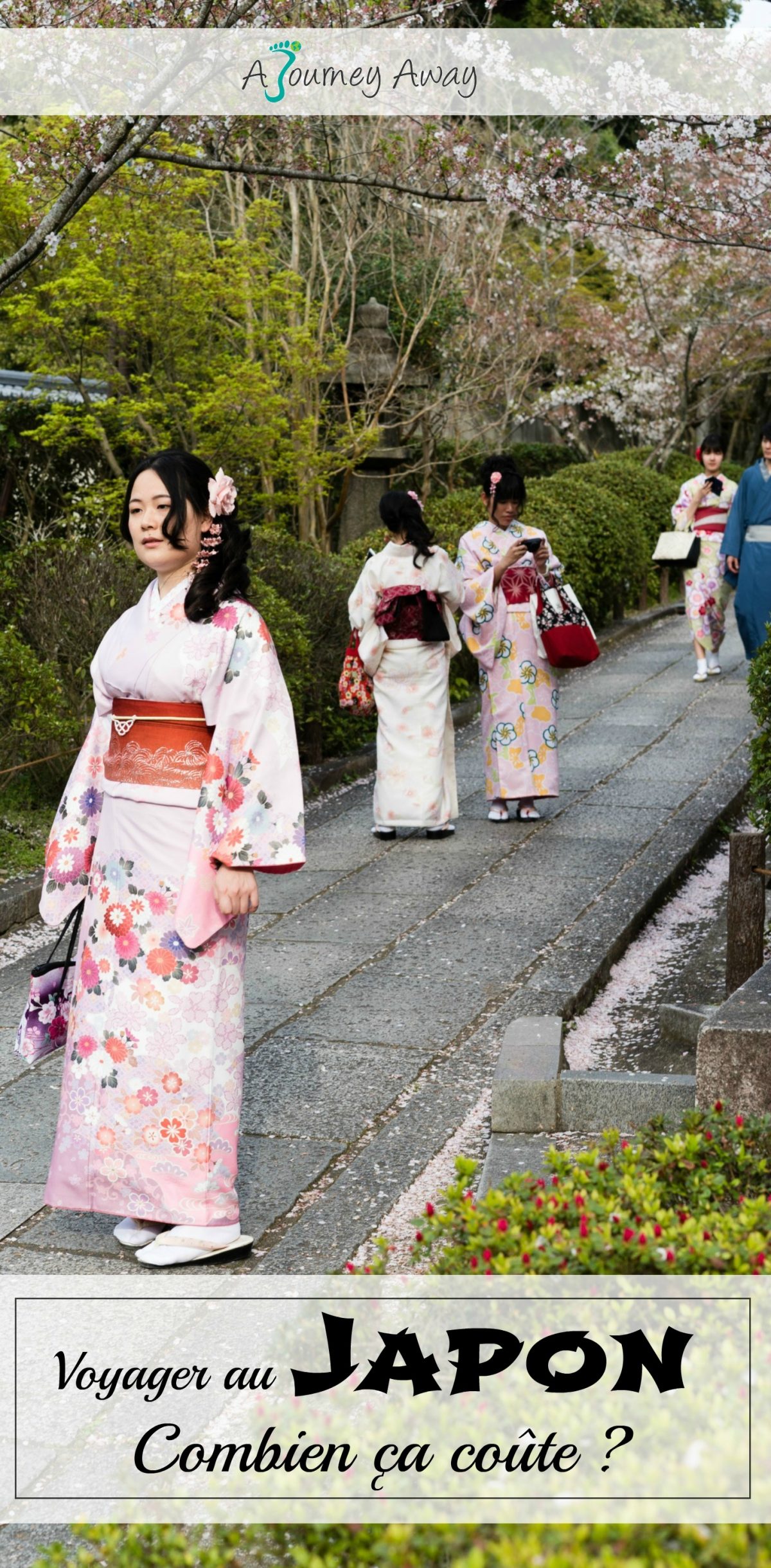 Quel budget prévoir pour un mois au Japon ? | Blog de voyage A Journey Away