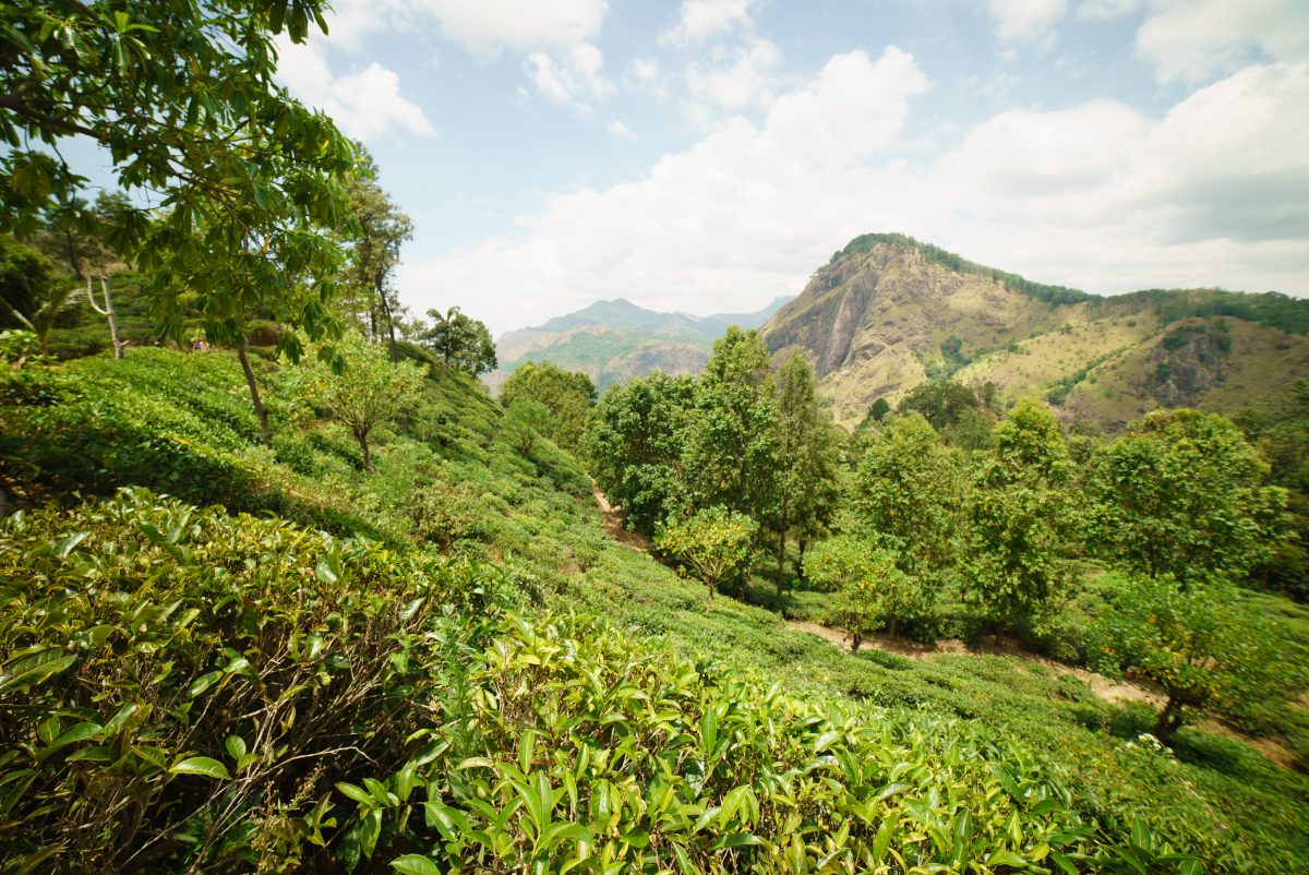 Little Adam peak, Sri Lanka