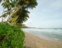 Mirissa beach, Sri Lanka