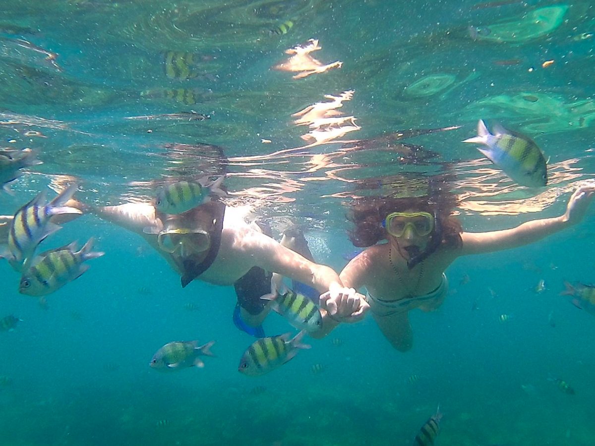 Snorkelling in Koh Phi Phi Leh