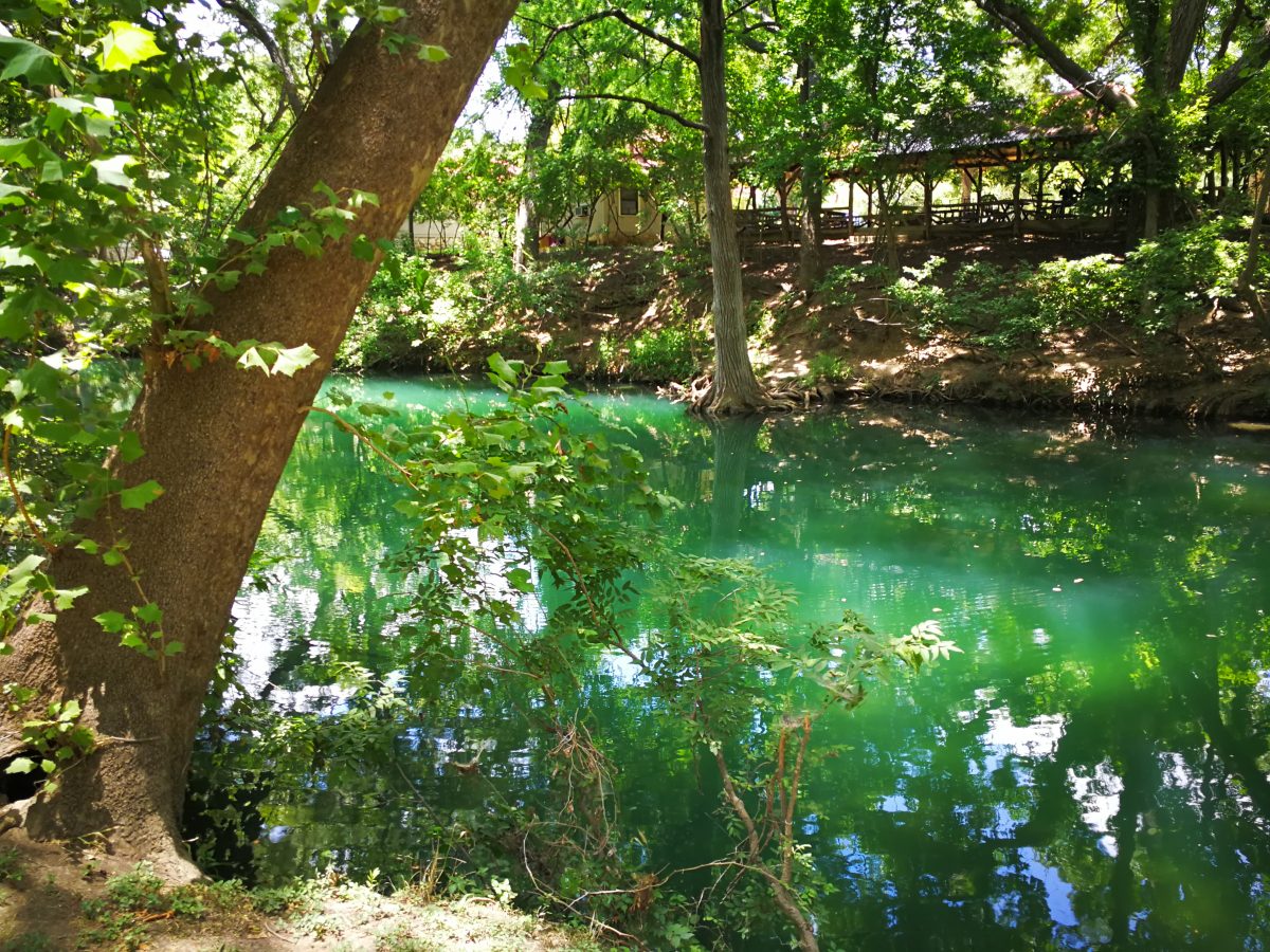 Cypress Creek in Wimberley, Texas
