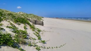 Mustang Island in Texas