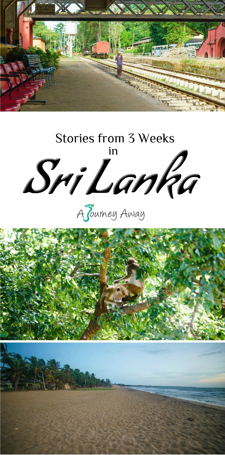 Stories from 3 Weeks in Sri Lanka | A Journey Away travel blog