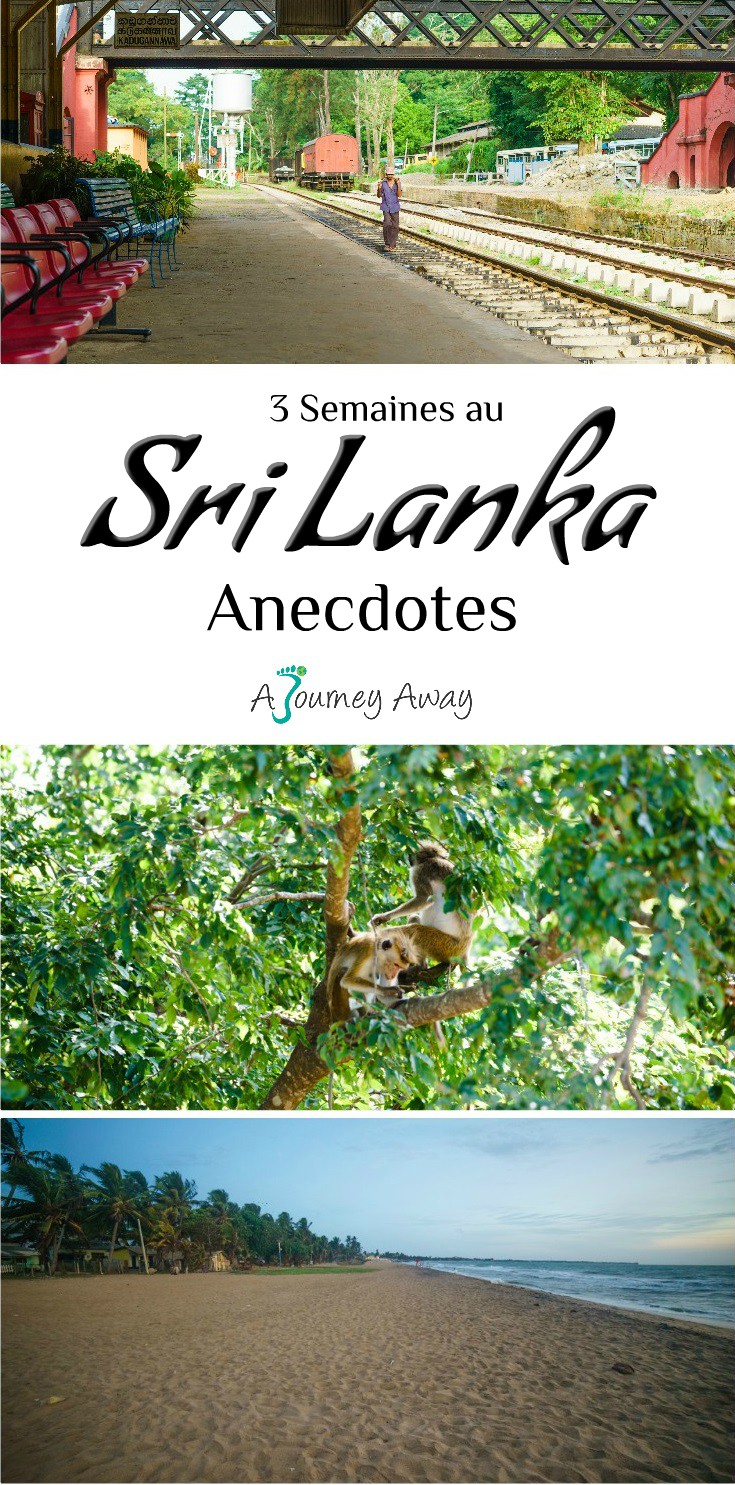 3 Semaines au Sri Lanka - Anecdotes