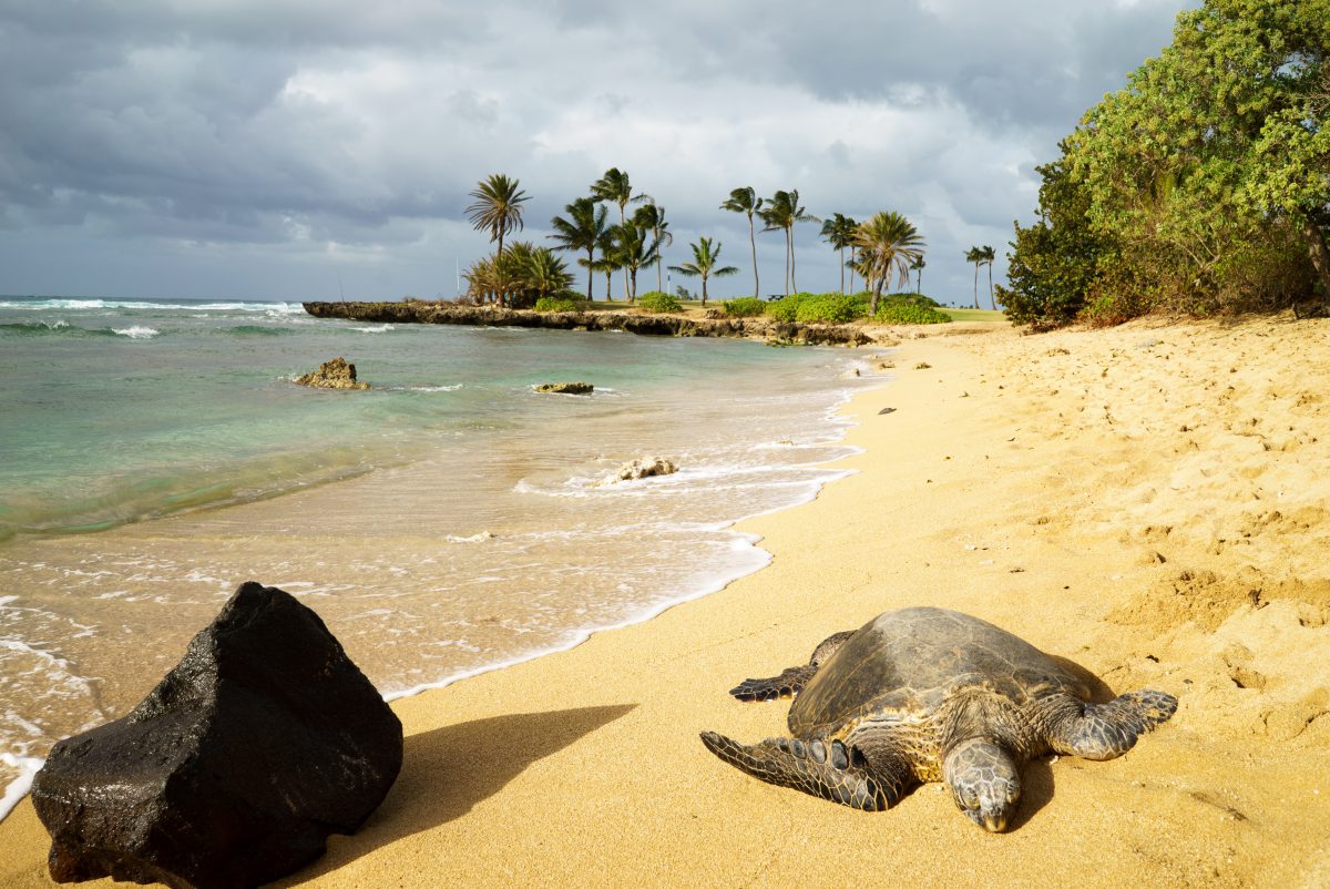 Haleiwa Ali’i beach in Oahu, Hawaii