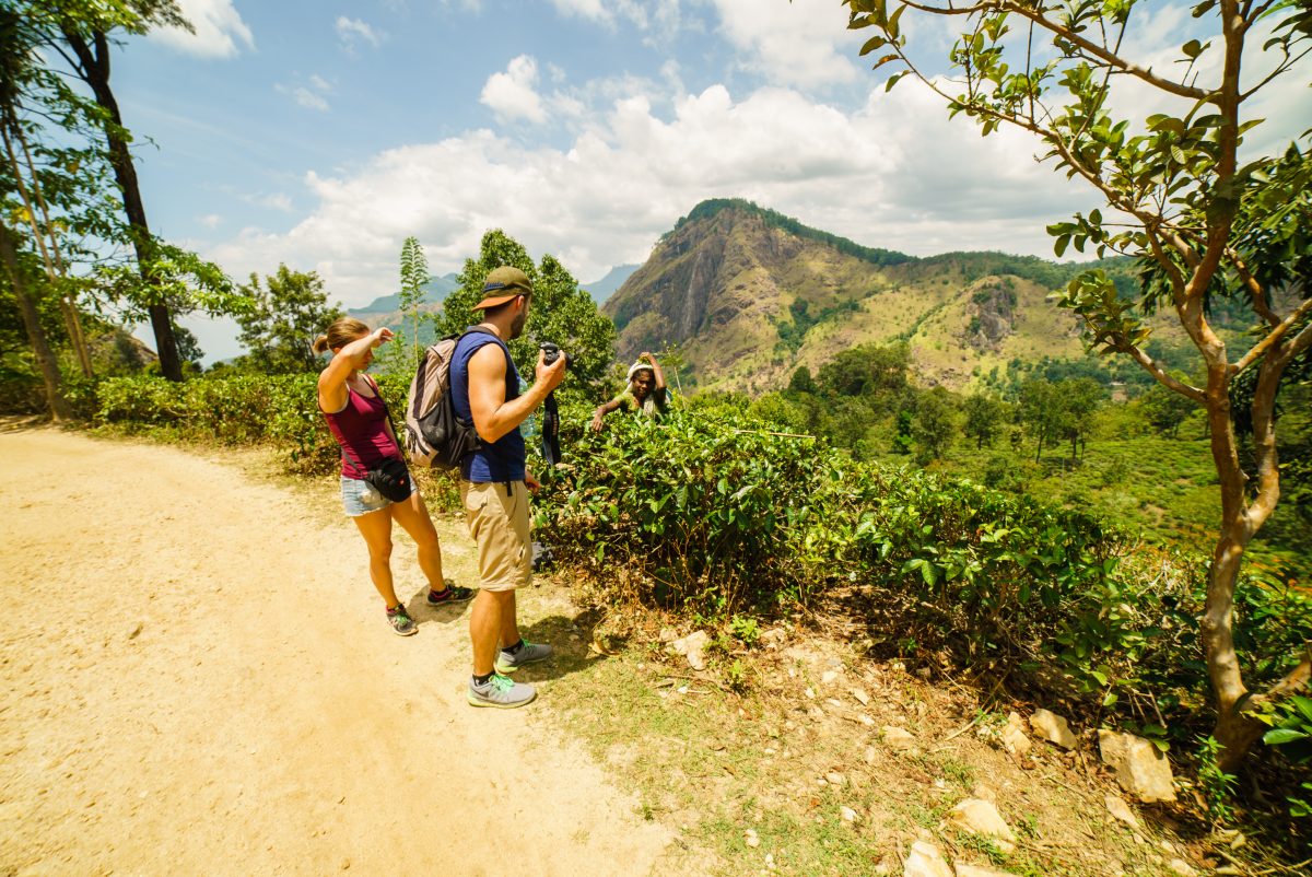 Cueilleuses de thé, Ella, Sri Lanka